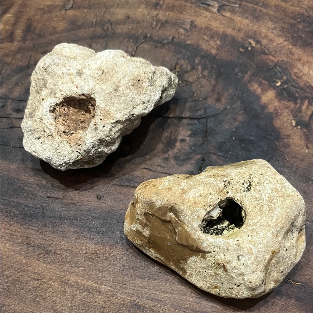 Natural Rock With Holes Found in off grid creek bed Southern TN Set of 2